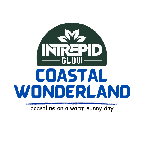 coastalwonderlandhandmadesoapphotoviewintrepidglowskincare